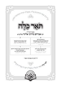 תמונה ממוזערת של אור המאיר